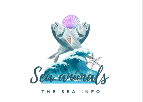 The Sea Info